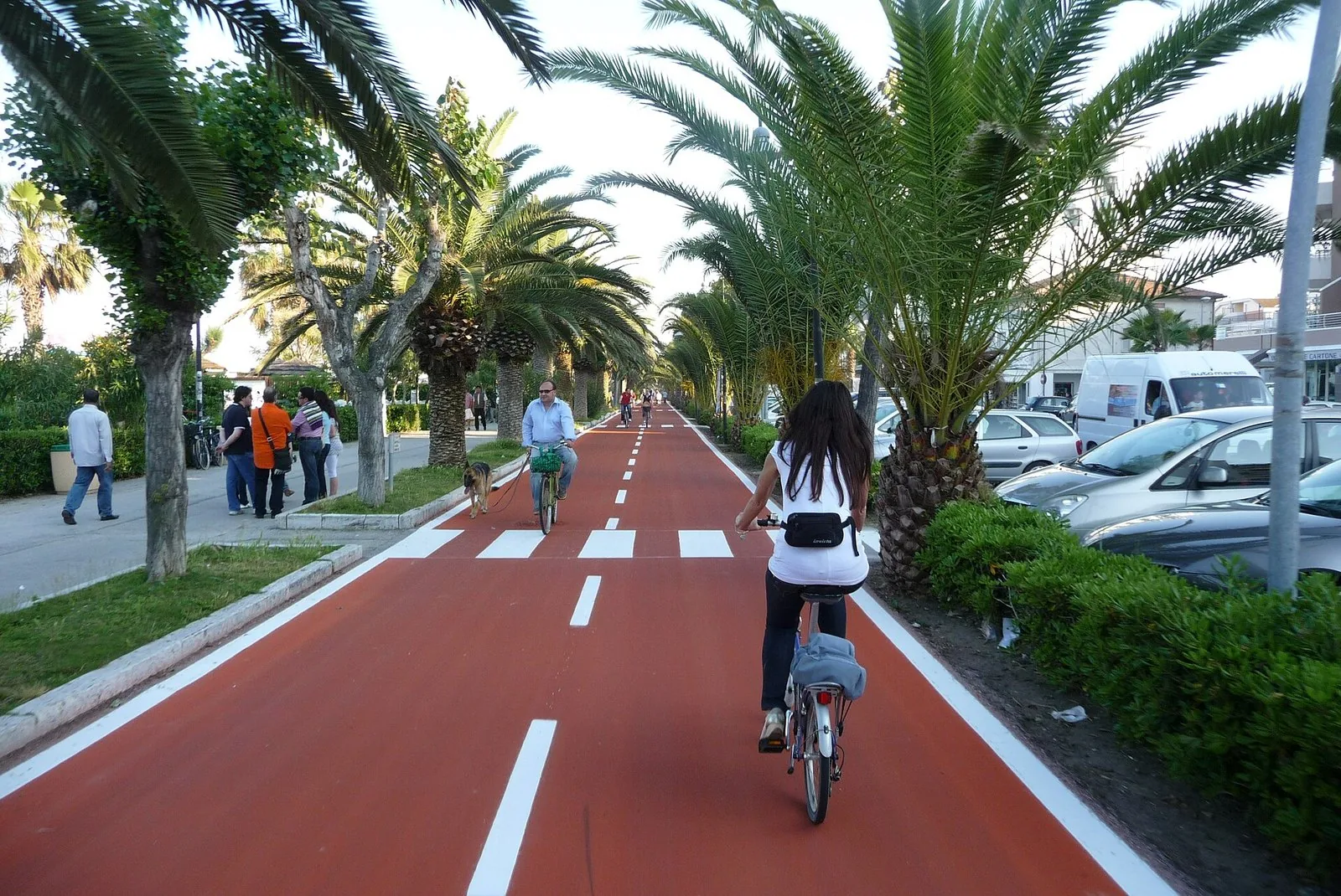 La ciclabile adriatica fra le palme, lungo la costa abruzzese