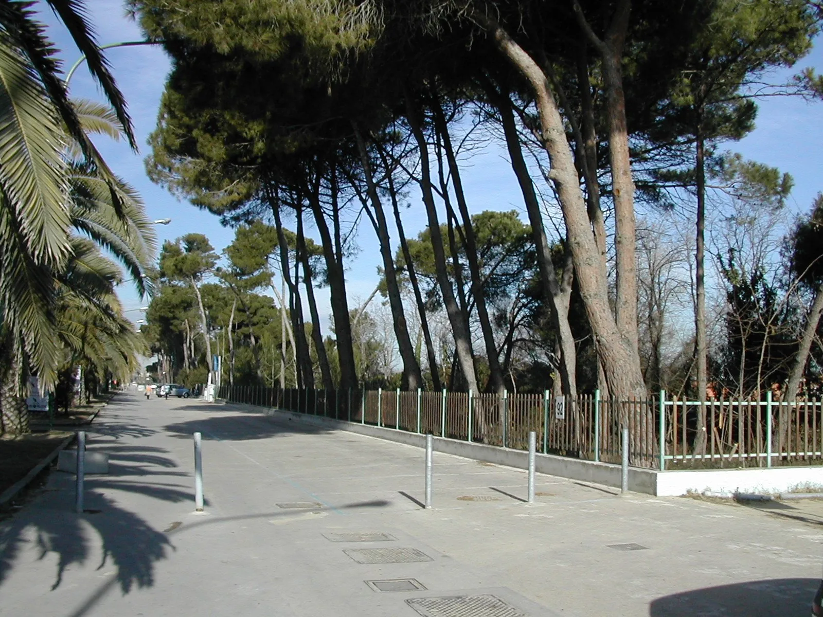 Il lungomare di Pescara fra le pinete